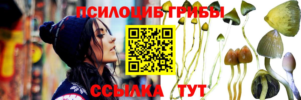 Алапаевск  Псилоцибиновые грибы Magic Shrooms  Вход с VPN  Псилоцибиновые грибы мухоморы 