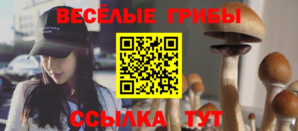 Псилоцибиновые грибы MAGIC MUSHROOMS Алапаевск